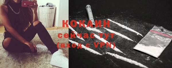 дмт Белокуриха