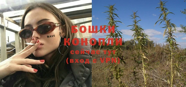 дмт Белокуриха