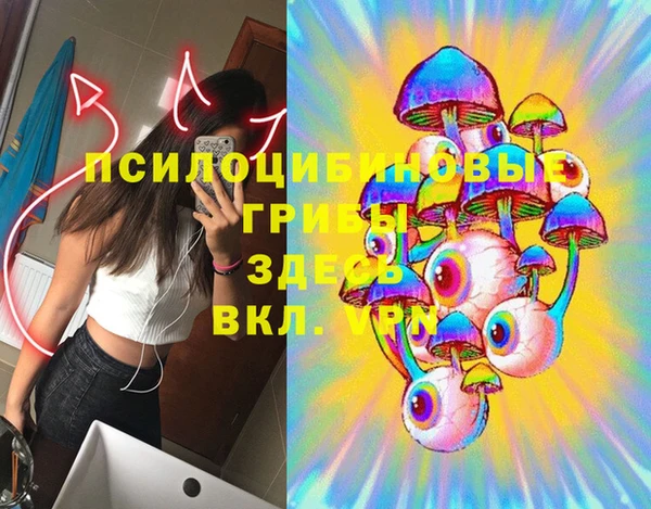 дмт Белокуриха