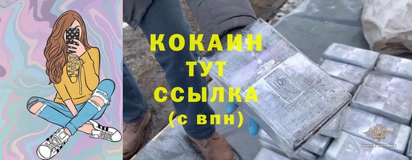 дмт Белокуриха